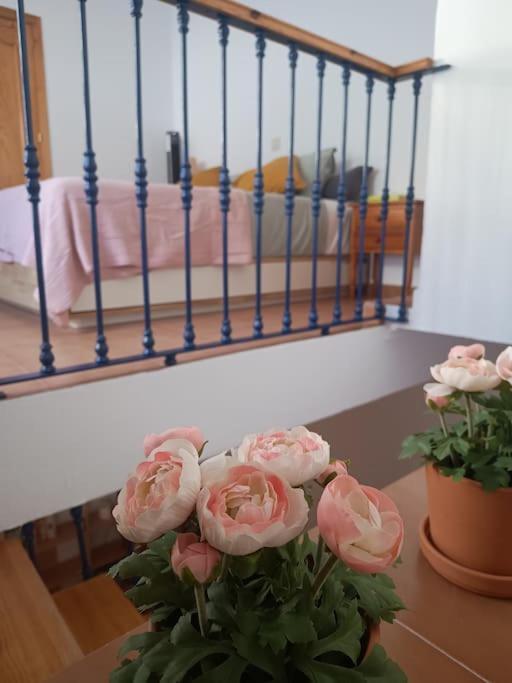 Casa Heli - Ruim Appartement Met Dakterras In Polopos Екстериор снимка